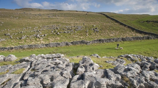 A shot on the Pennine Way with a man walking two dogs in the distance on a sunny day
